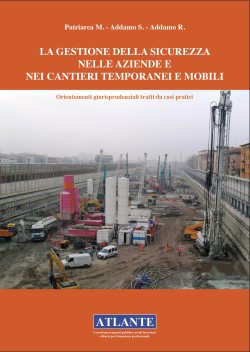 I Copertina Libro La gestione della sicurezza